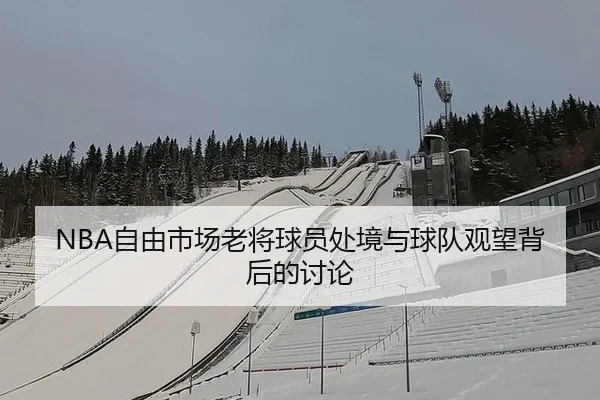 NBA自由市场老将球员处境与球队观望背后的讨论
